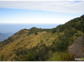 Jalur Pos 4 - Pos 5 Cemoro Sewu