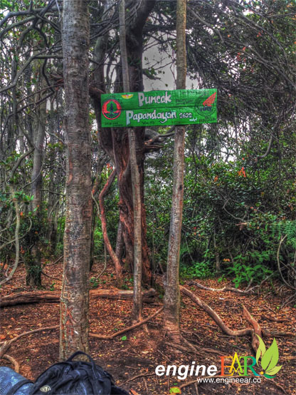 Puncak Papandayan