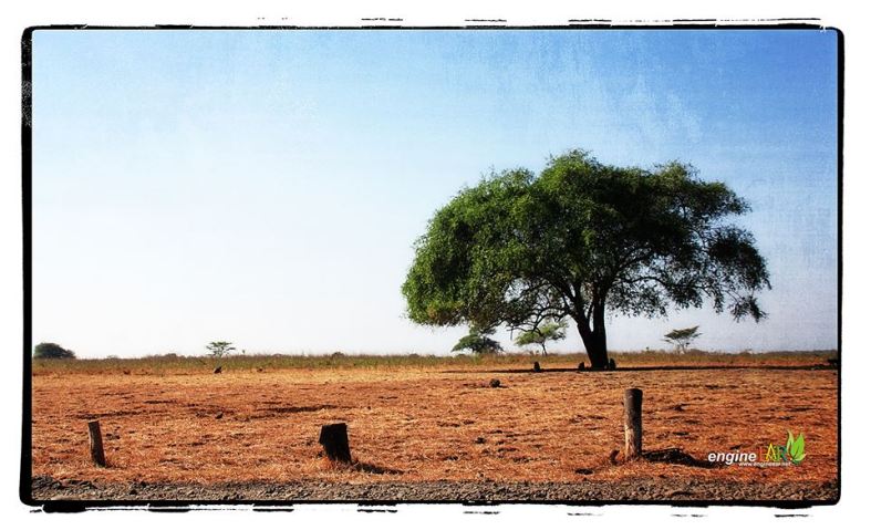 11742681_10152990615132227_7630077257849981590_n